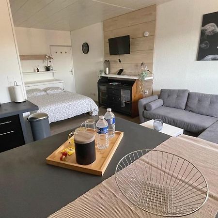 Studio Cocooning Hauteur De Saint-Raphael #2 Ngoại thất bức ảnh