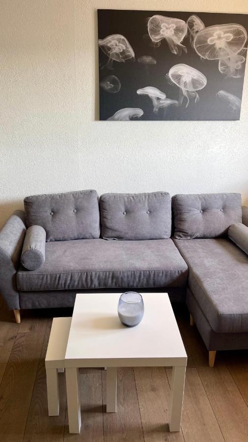 Studio Cocooning Hauteur De Saint-Raphael #2 Ngoại thất bức ảnh